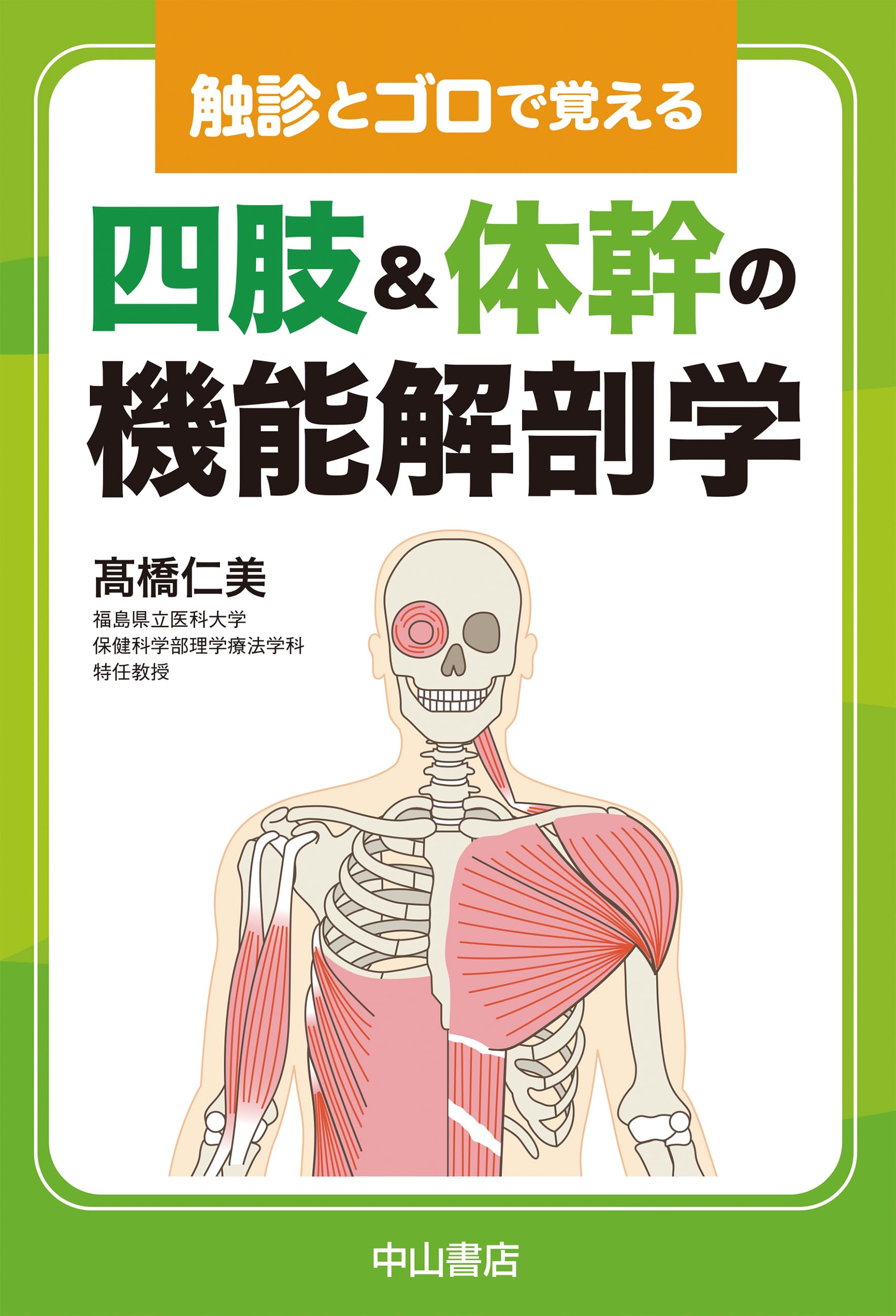 触診とゴロで覚える 四肢＆体幹の機能解剖学 | 高橋仁美 |本 | 通販
